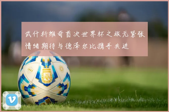 武什科维奇首次世界杯之旅无紧张情绪期待与德泽尔比携手共进